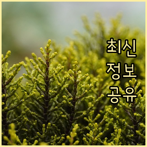 신한은행 통장 분실 A부터 Z까지 분