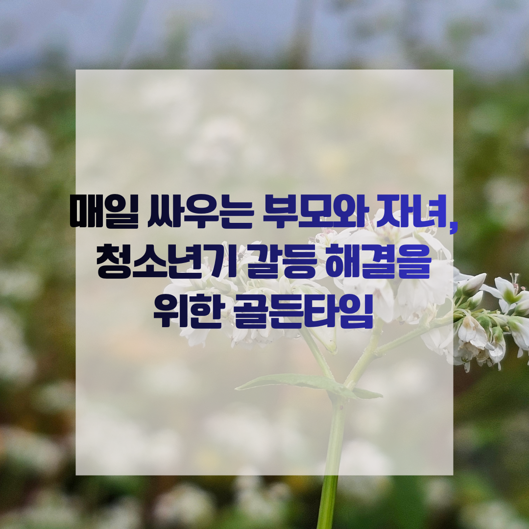 매일 싸우는 부모와 자녀, 청소년기 갈등 해결을 위한 골든타임