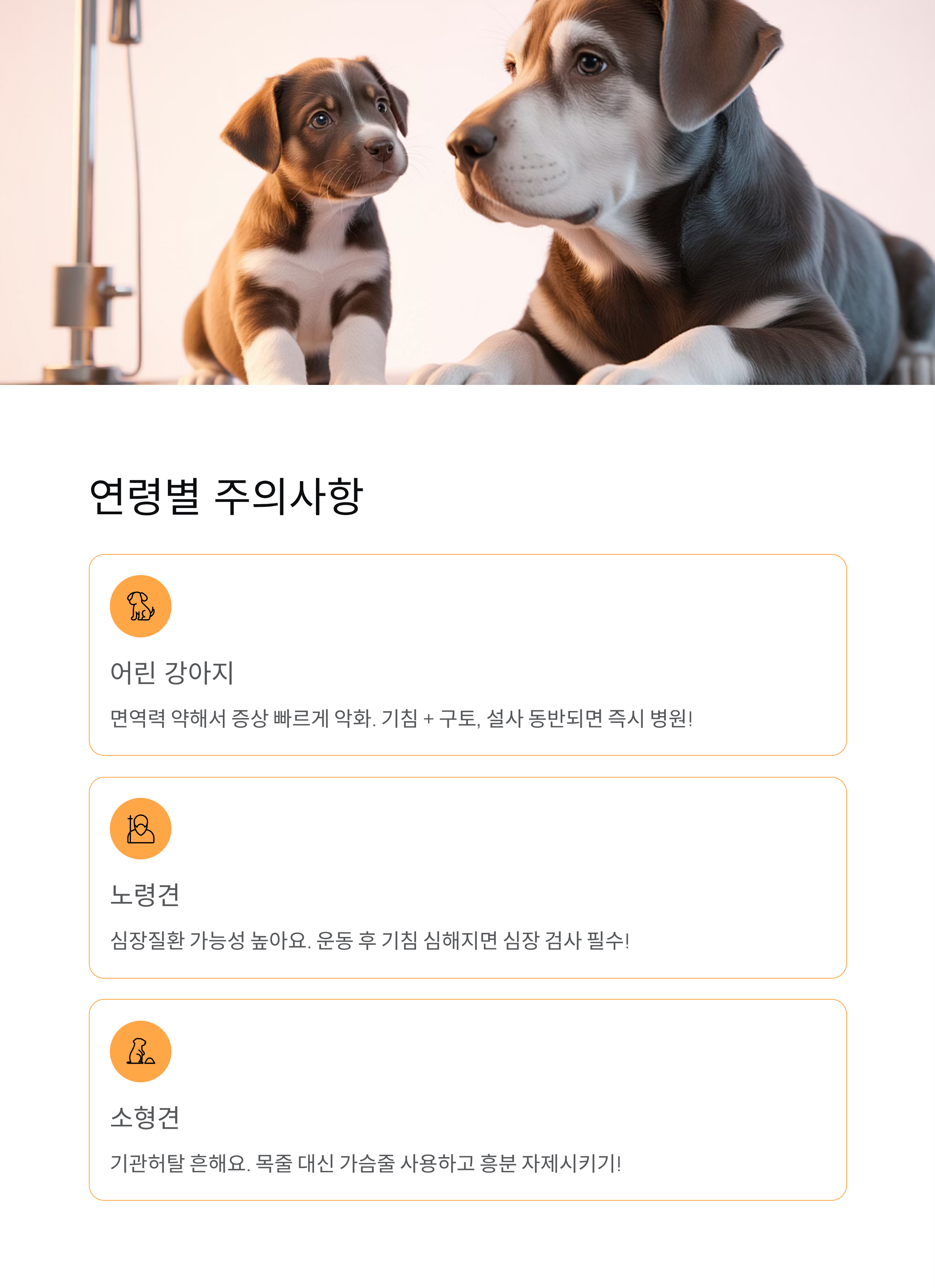 강아지 기침 원인·증상·치료법 총정리! 병원 가야 할 때는?
