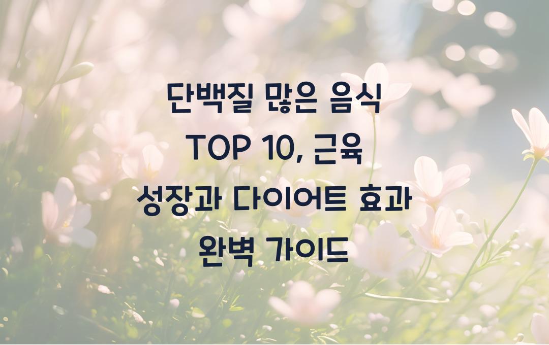 단백질 많은 음식 TOP 10, 근육 생성과 다이어트 효과까지