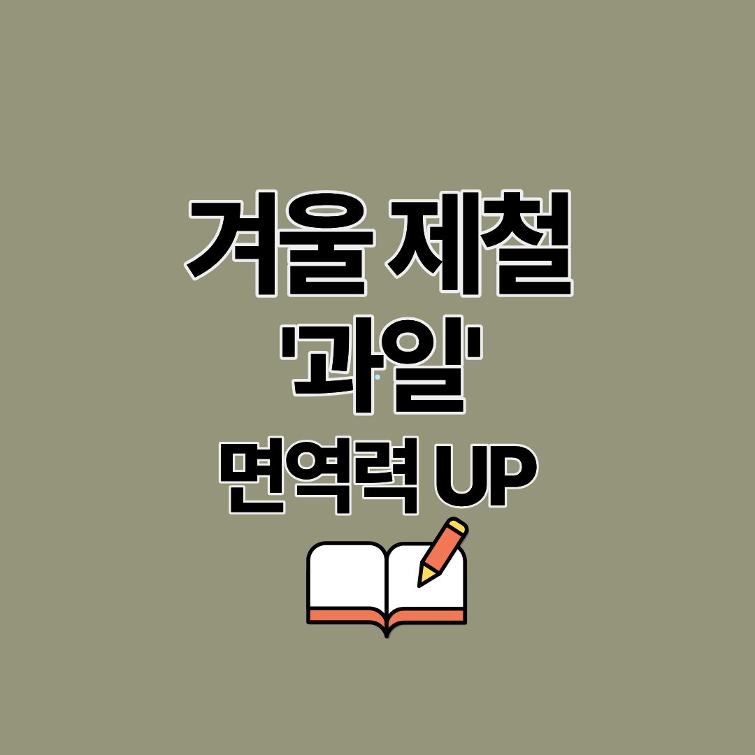 겨울 제철 과일 추천! 귤∙딸기∙사과∙한라봉∙참다래∙석류∙유자로 면역력 UP