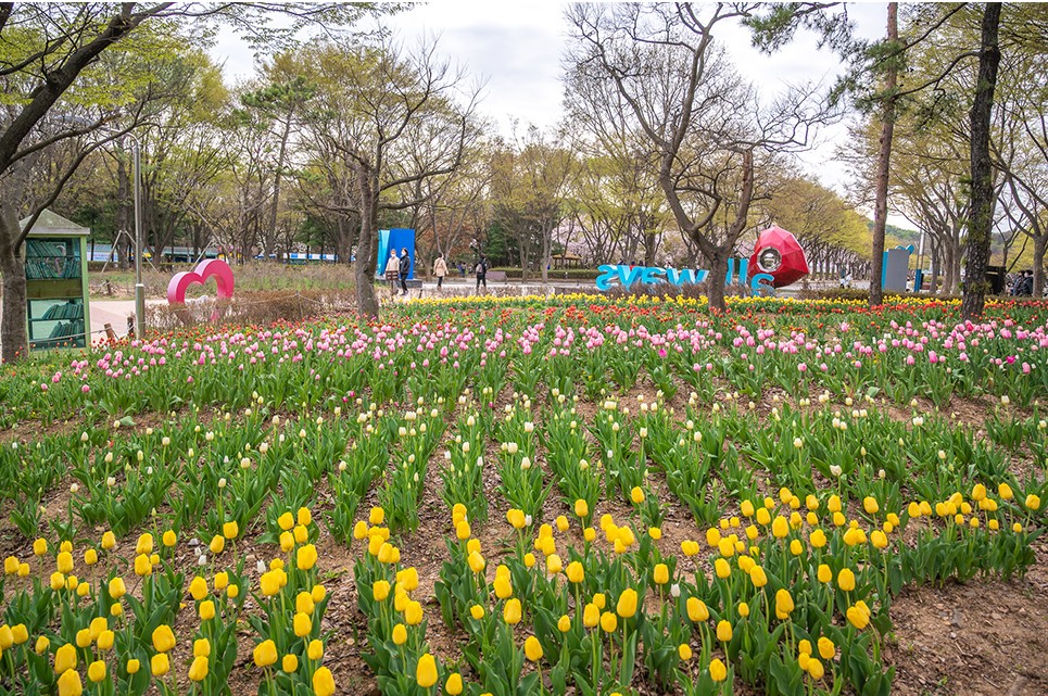 인천대공원-사진