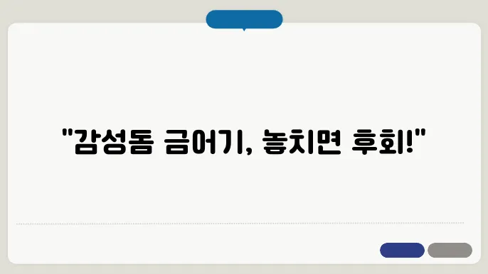 감성돔 금어기