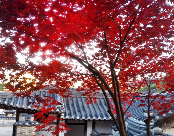 남산골