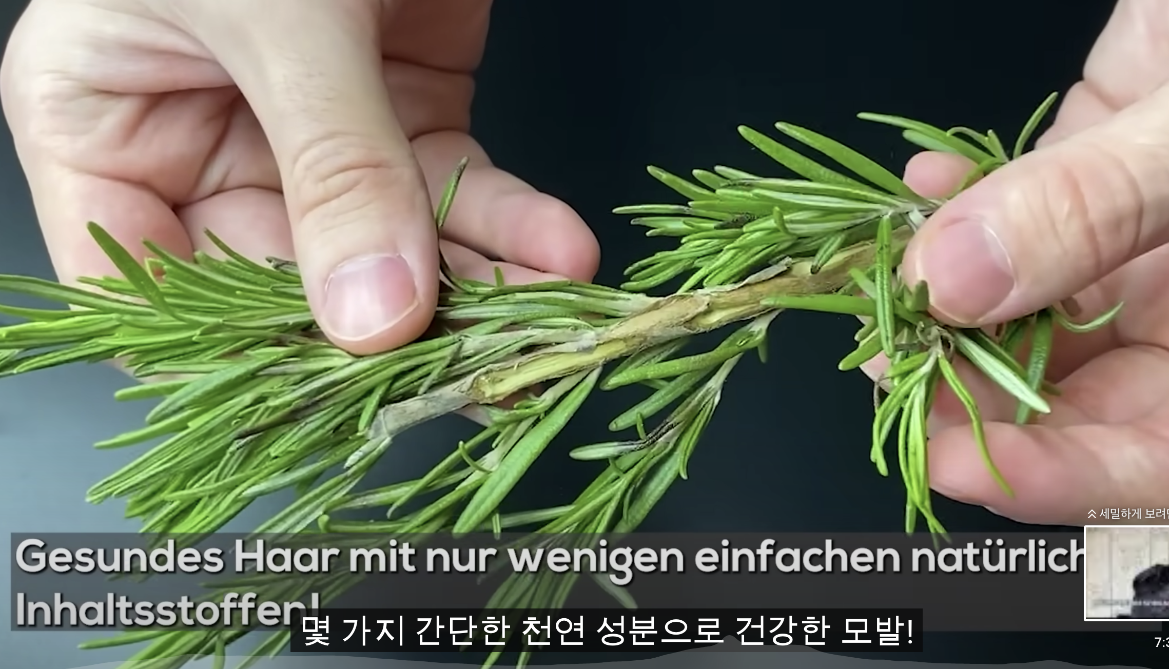 레몬과 마늘보다 150배 강하다! 머리카락이 미친듯이 자랍니다! 머리카락을 위한 로즈마리