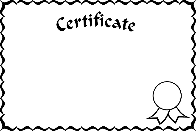 드론 자격증 종류와 활용