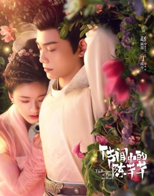 전문중적진천천