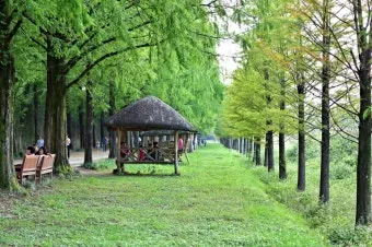 가을 전라도 가볼만한곳 베스트 10을 한눈에_17