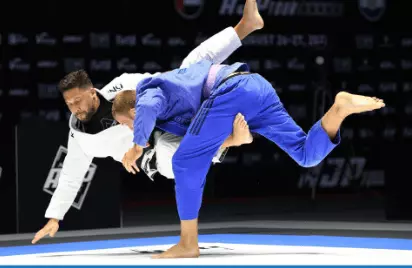 주짓수 벨트순서