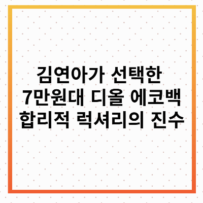 김연아 7만원대 디올 에코백