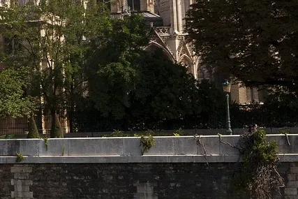 노트르담 드 파리 뮤지컬