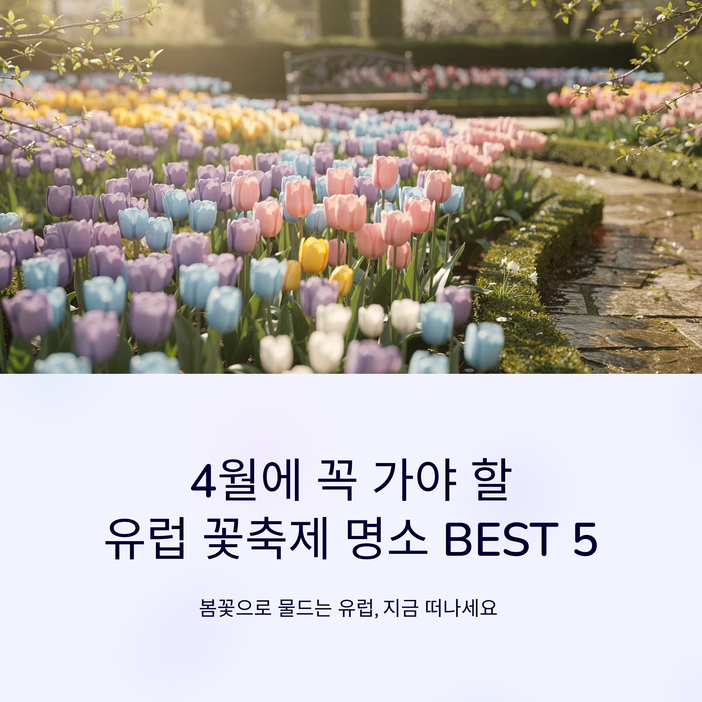 4월에 꼭 가야 할 유럽 꽃축제 명소 BEST 5 총정리