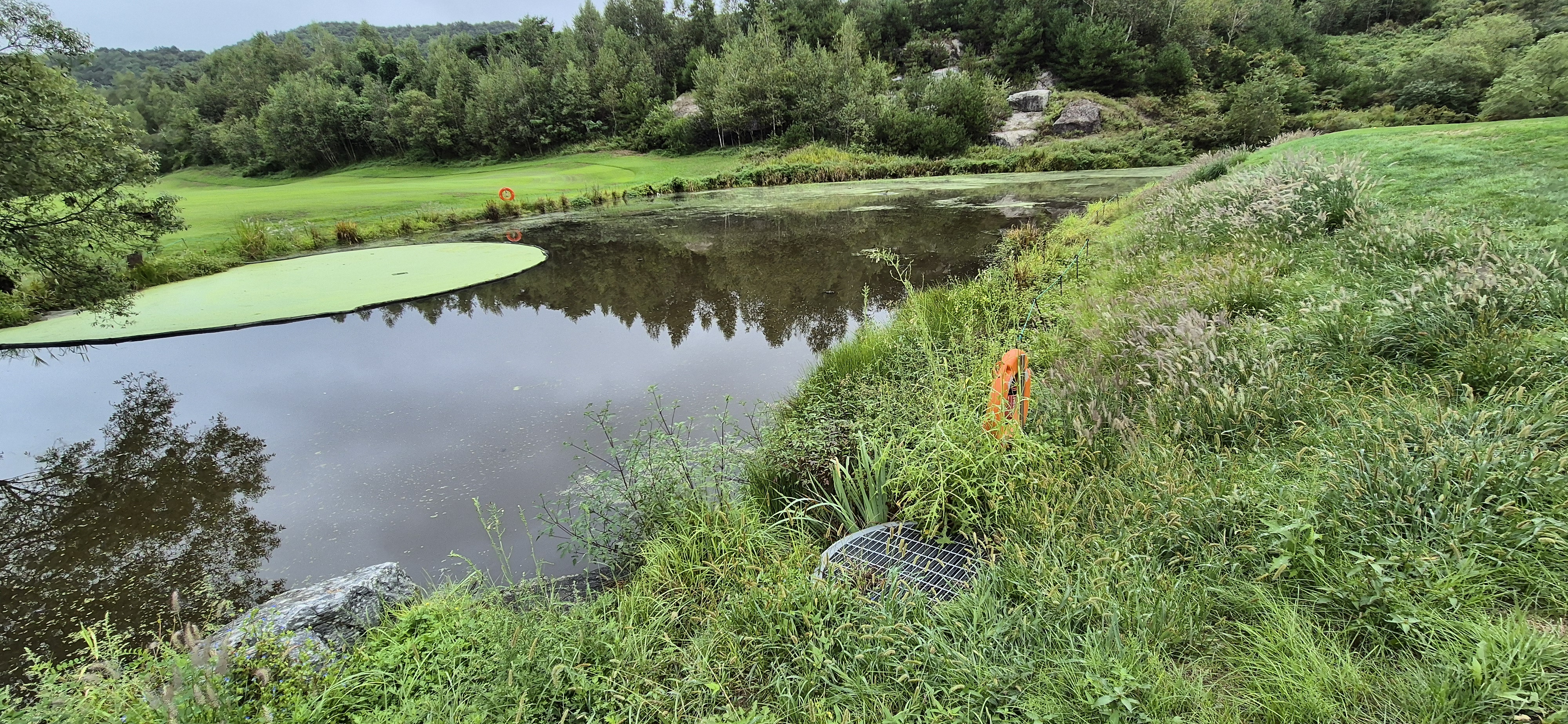 더플레이어스cc