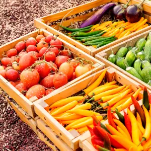 2025년 농식품바우처