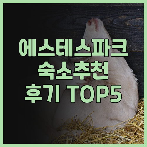 홀리데이 인 에스테스 파크 괜찮을까요