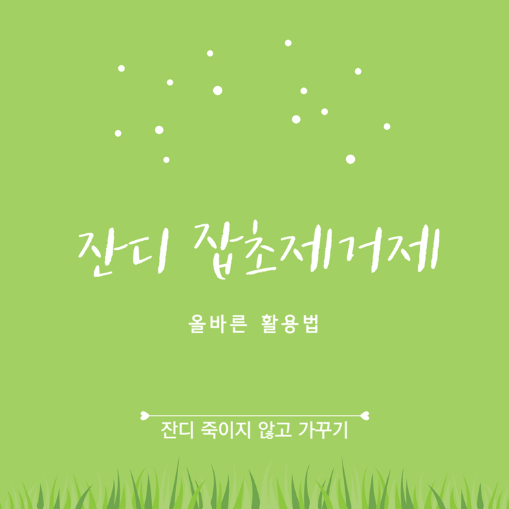 잔디 잡초 제거제