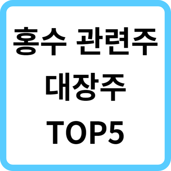 홍수 관련주 대장주 TOP5