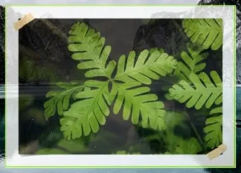 수확 후 처리 세척 건조 예냉 저장 온도 습도 관리_8