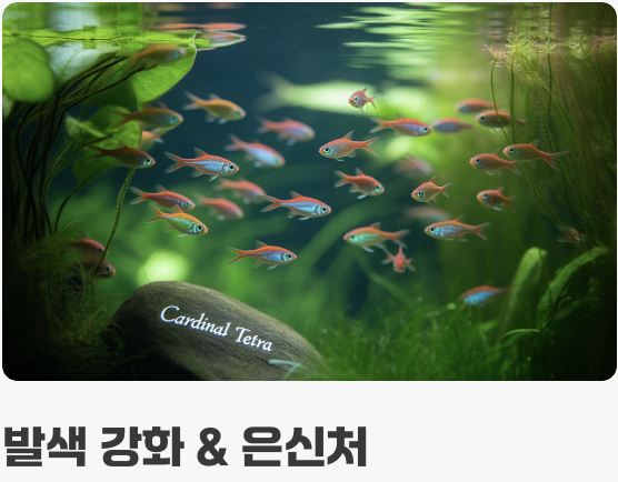 수초, 최고의 '놀이터'이자 '안식처'