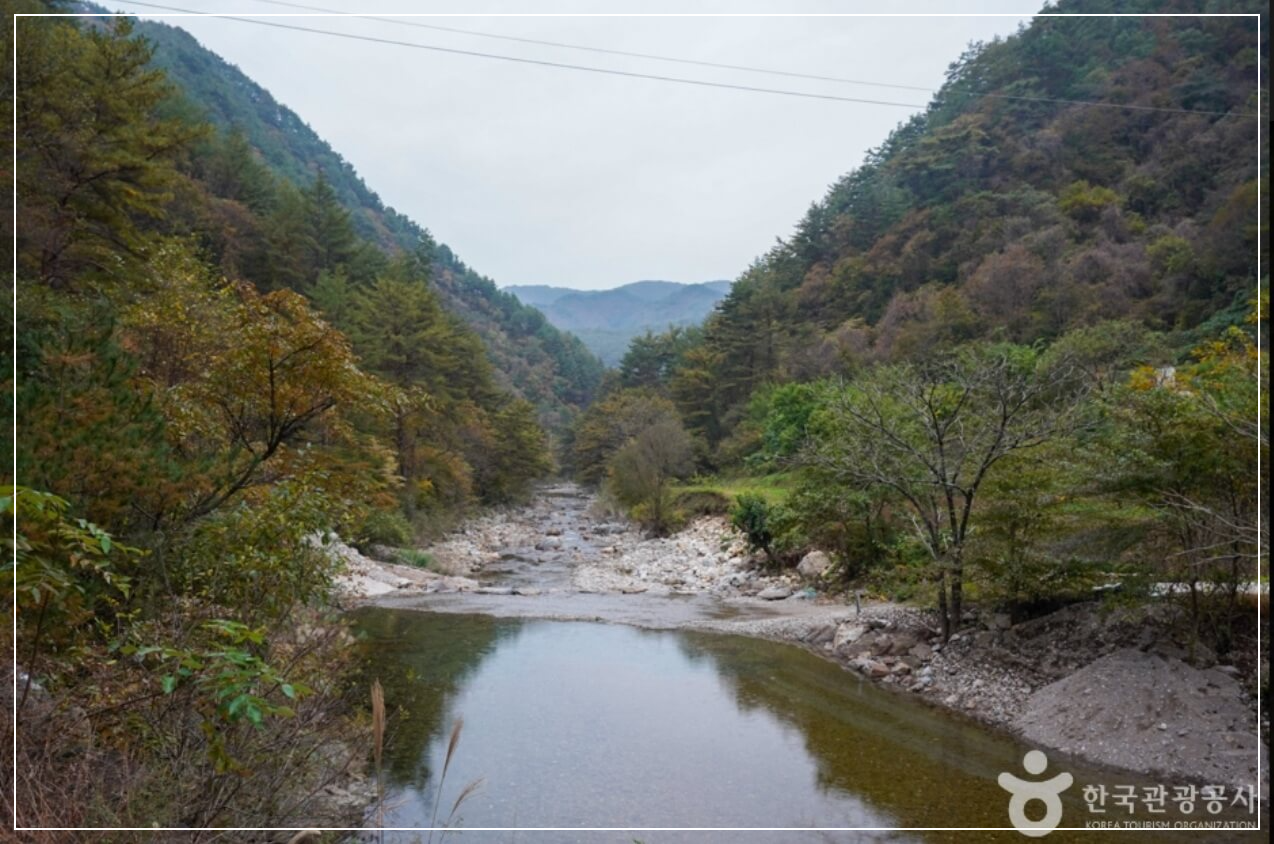 봉화 가볼만한곳 베스트10 고선계곡