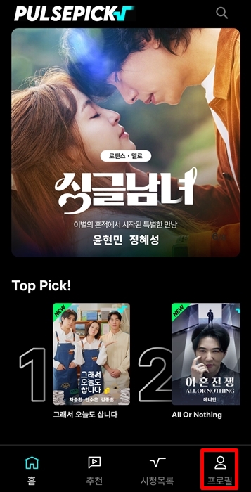 펄스픽