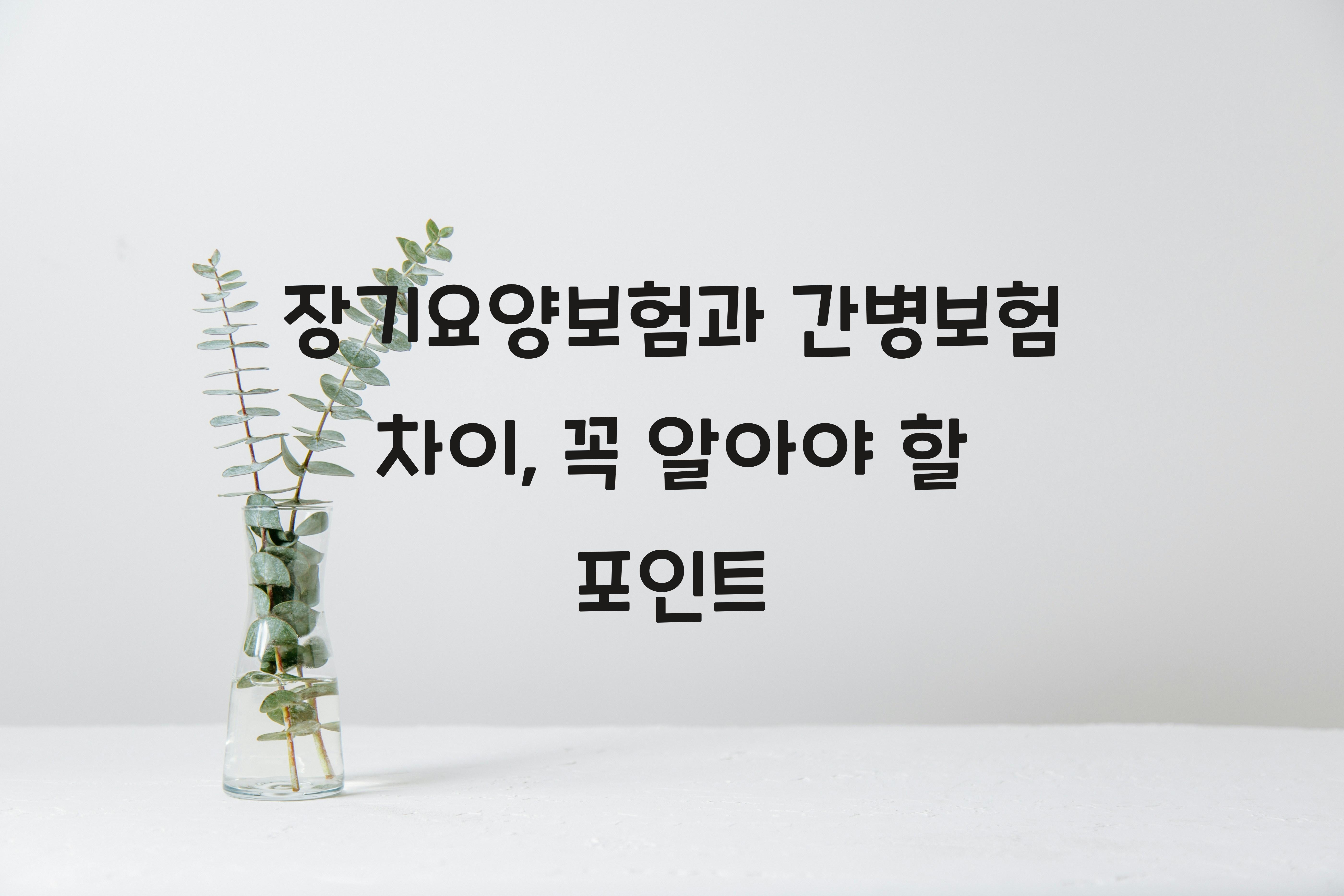 장기요양보험과 간병보험 차이