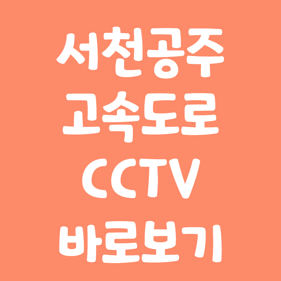 실시간 서천공주 고속도로 CCTV 바로보기