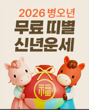 신년운세 토정비결 무료 사이트