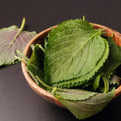 깻잎의 특징 효능 영양성분 요리법 부작용