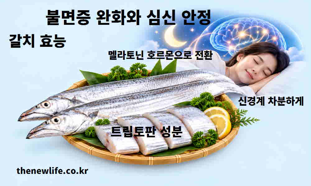 갈치 효능 불면증 완화 심신 안정