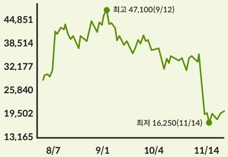 파두 주가 관련 그래프 이미지 < 출처 : 롯데카드 >