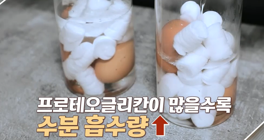 프로테오글리칸 효능