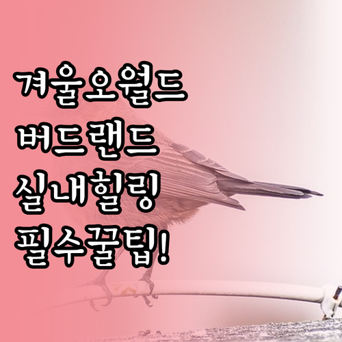 겨울철 대전 오월드 버드랜드 이용 방..