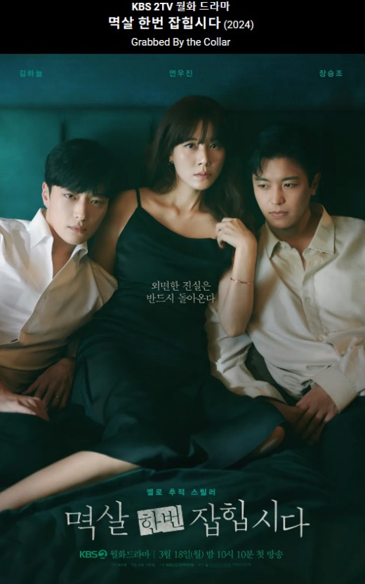 멱살한번잡힙시다포스터