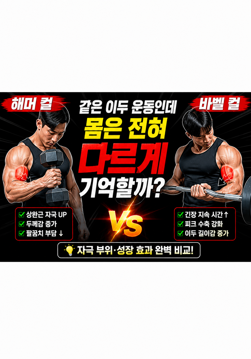 해머 컬 vs 바벨 컬:왜 같은 이두 운동인데 몸은 전혀 다르게 기억할까