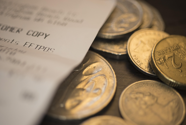 국가 예산이 들어가는 구조