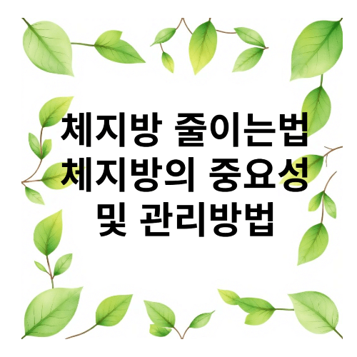 체지방줄이는법 관리방법