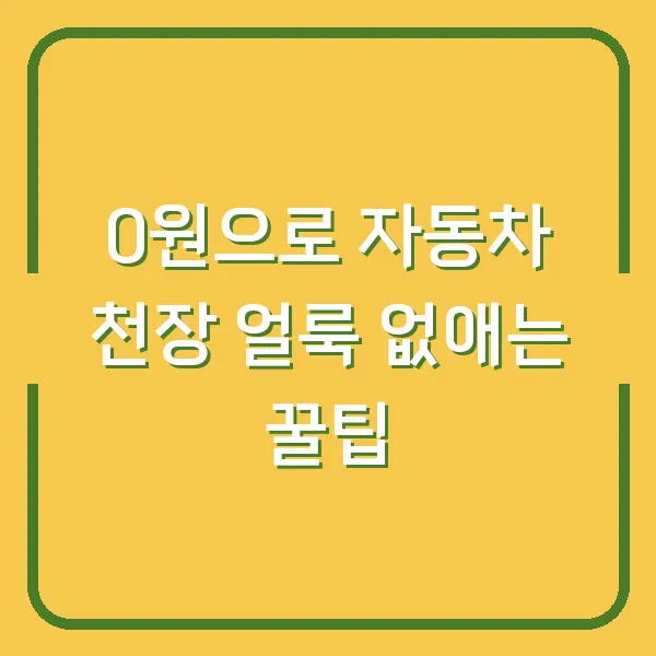 0원으로 자동차 천장 얼룩 없애는 꿀팁