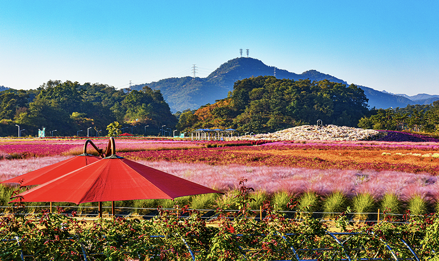 양주 나리공원(나리농원) 이미지