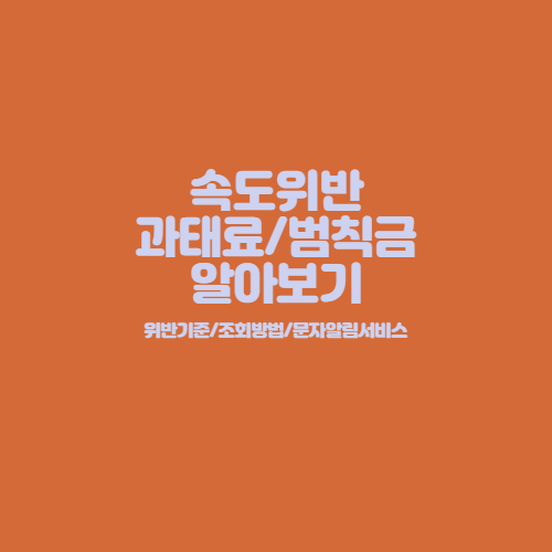 속도위반_과태료_범칙금알아보기