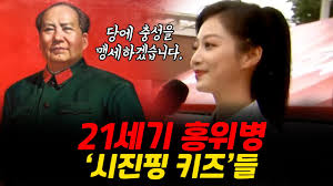 애국주의 중국청년들: 소분홍 및 탕핑족