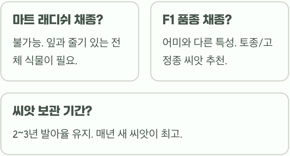내년에도 또 보려면? 래디쉬 씨앗 채종 시기와 보관법