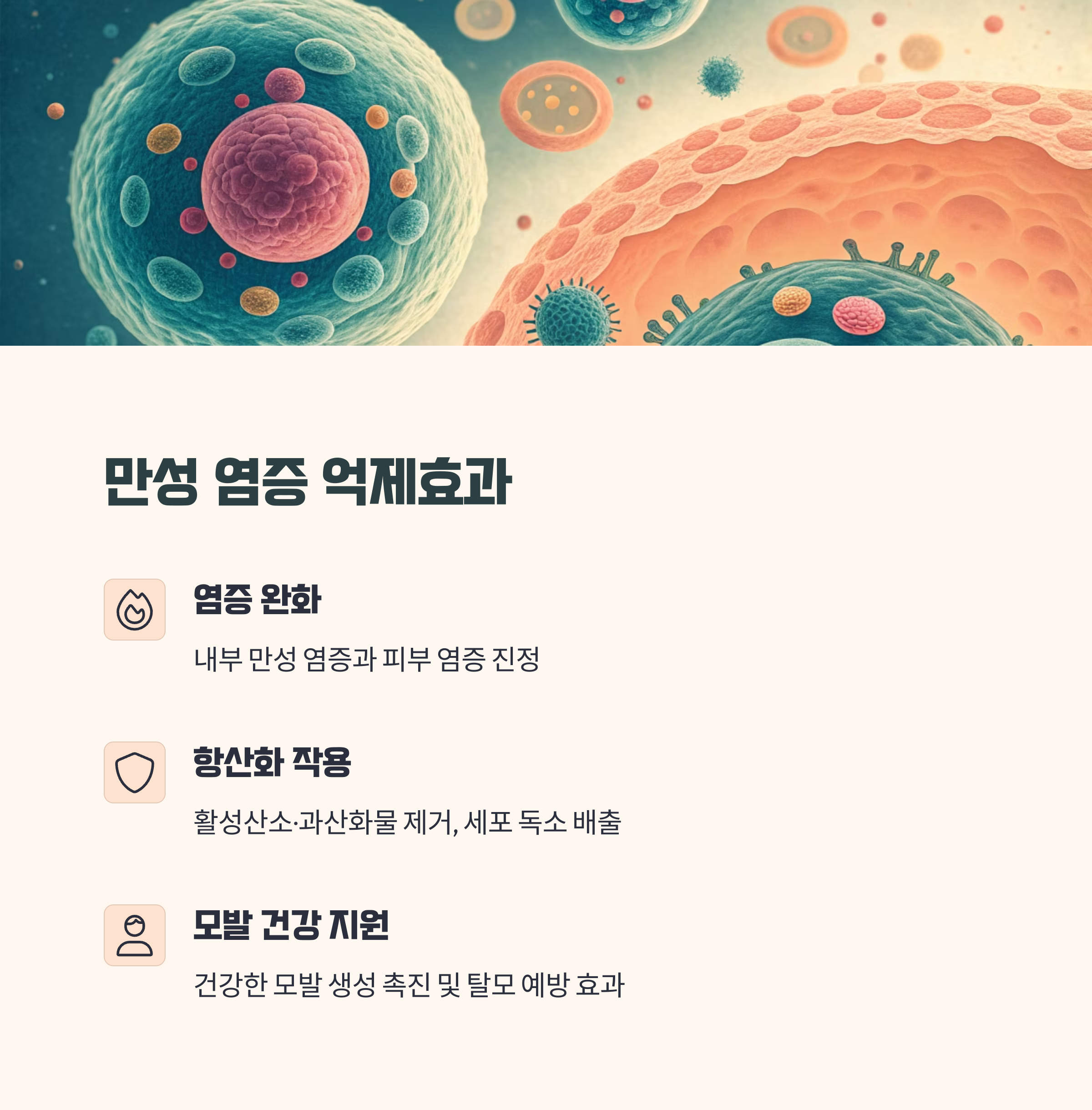 여성 건강의 숨은 열쇠