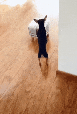 10월 20일 금 경제뉴스 신문스크랩