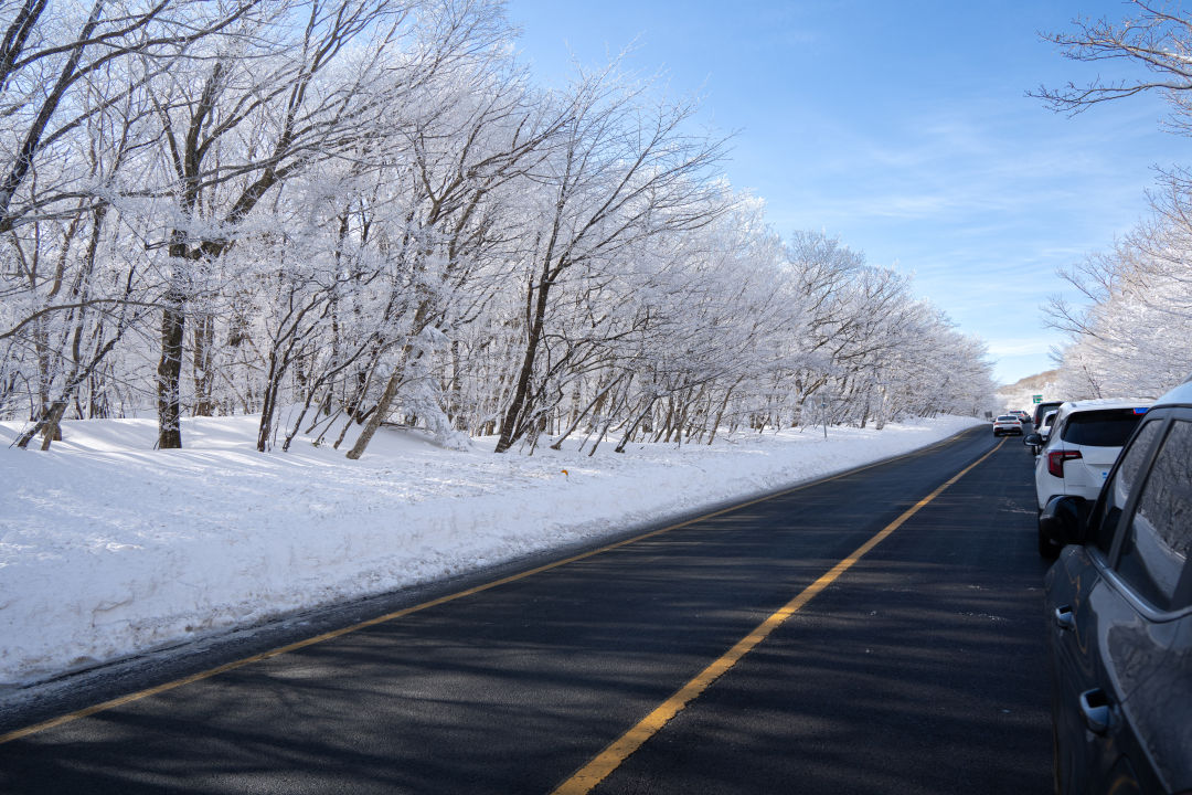 1100 고지 주정차 단속