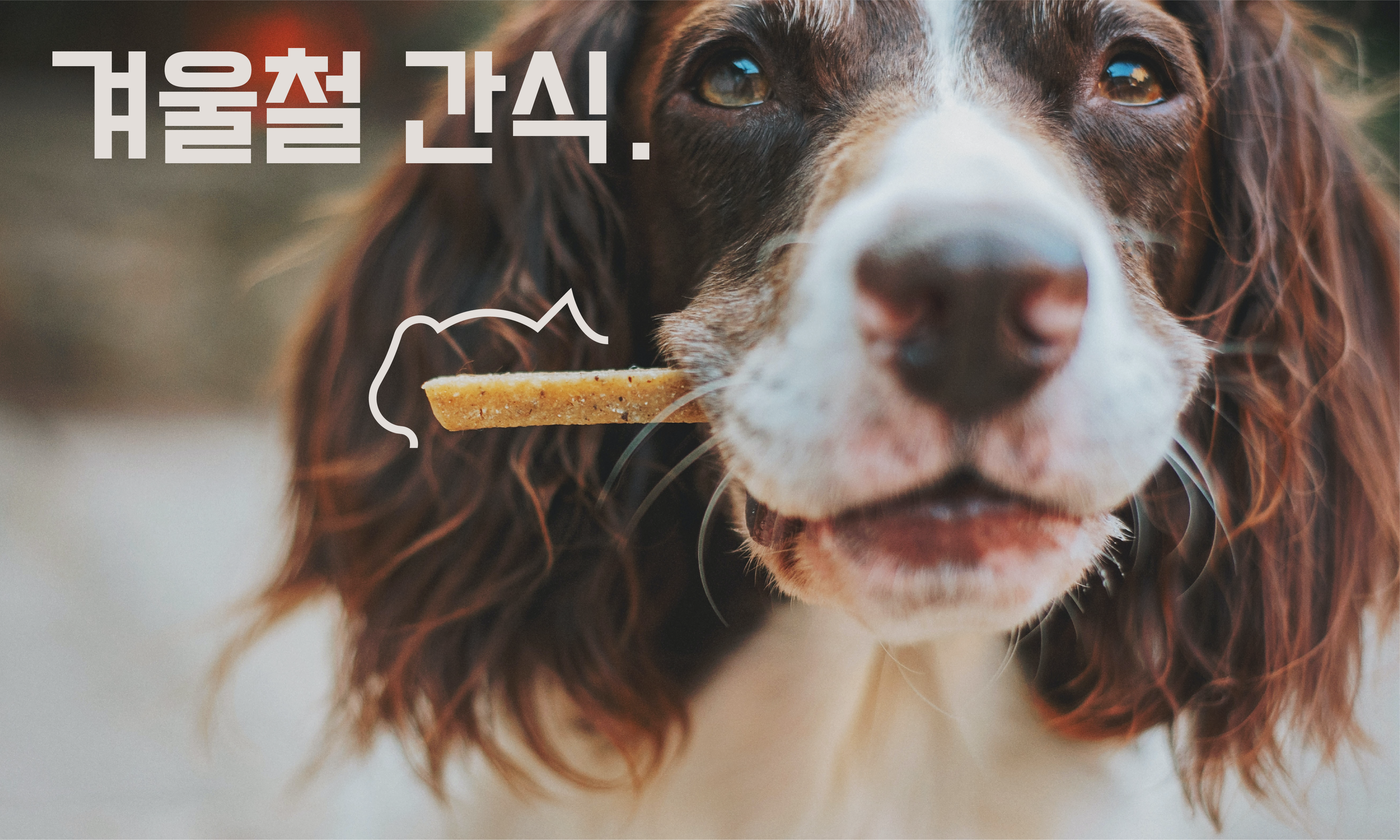 강아지-겨울