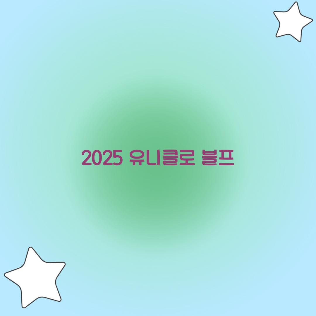 2025 유니클로 블프