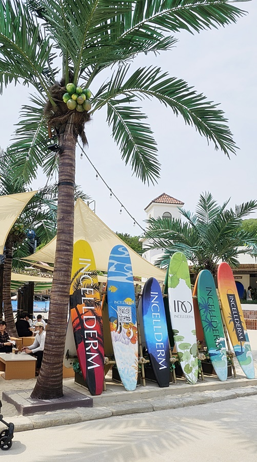 야자수와 페들보트