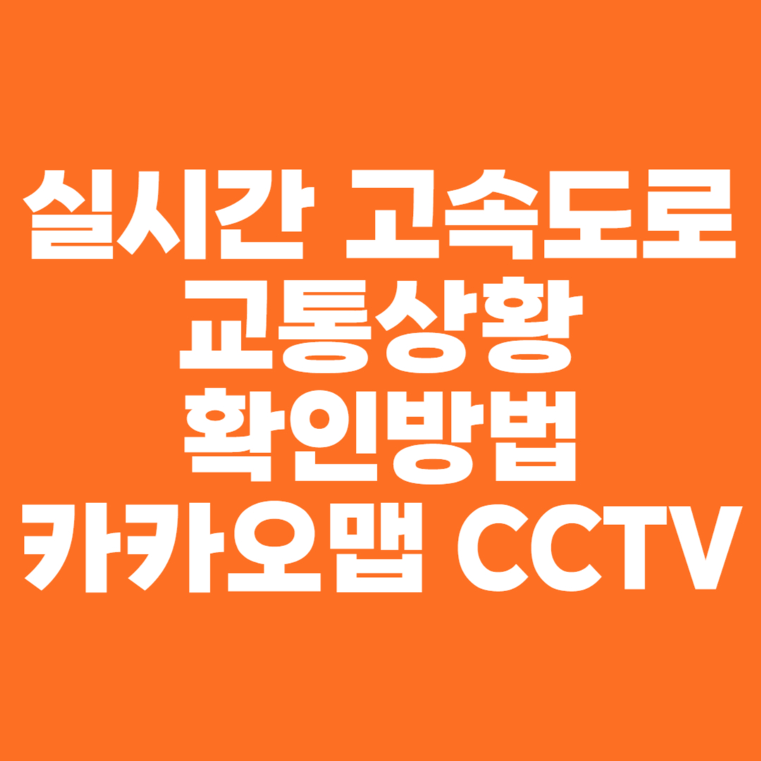 실시간 고속도로 교통상황 확인 방법 카카오맵 CCTV