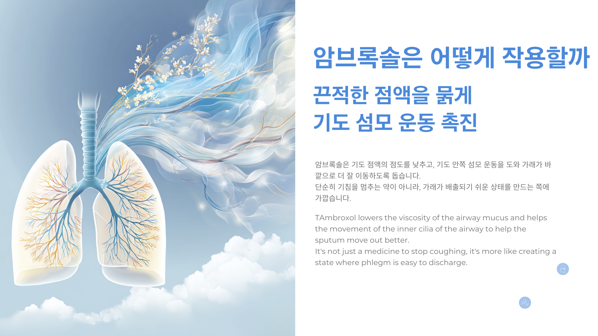 기관지 내부 구조와 가래 배출 과정을 쉽게 보여주는 건강정보 인포그래픽 스타일